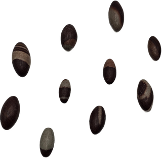 Shiva Lingam